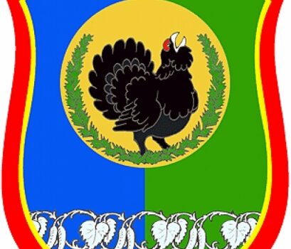 dobro pozhalovat v njagan 8f03ace boxing